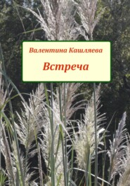 бесплатно читать книгу Встреча автора Валентина Кашляева