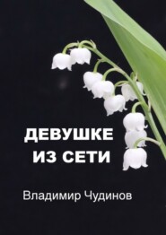 бесплатно читать книгу Девушке из Сети автора Владимир Чудинов