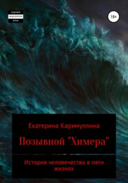 бесплатно читать книгу Позывной «Химера» автора Екатерина Каримуллина