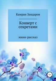 бесплатно читать книгу Конверт с секретами автора Камран Зандаров