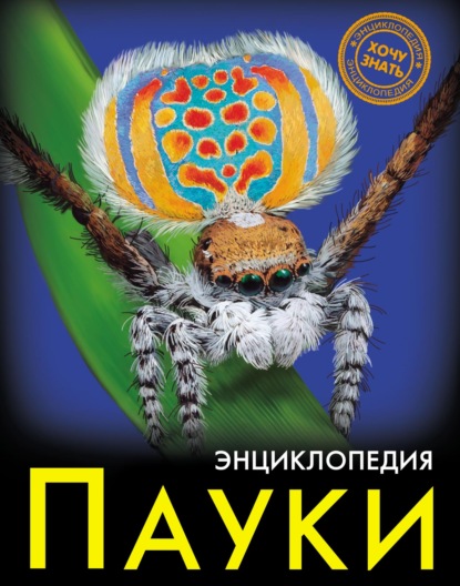 Пауки