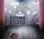 бесплатно читать книгу Время Волка автора Юлия Волкодав