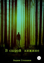 бесплатно читать книгу В сырой хижине автора Вадим Степанов