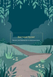 бесплатно читать книгу Винсент, или Знакомство со сказочным лесом автора Виктория Хусвег