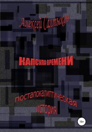 бесплатно читать книгу Капсула времени автора Алексей Салтыков
