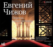 бесплатно читать книгу Перевод с подстрочника автора Евгений Чижов