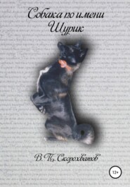 бесплатно читать книгу Собака по имени Шурик автора Василий Скорохватов