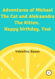 бесплатно читать книгу Adventures of Michael the Cat and Aleksandra the Kitten. Happy birthday, Teo! автора Валентина Басан