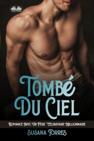 бесплатно читать книгу Tombé Du Ciel автора Susana Torres
