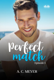 бесплатно читать книгу Perfect Match автора A. C. Meyer