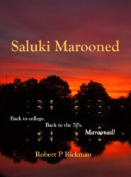бесплатно читать книгу Saluki Marooned автора Robert Rickman