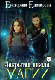 бесплатно читать книгу Закрытая школа магии автора Екатерина Елизарова