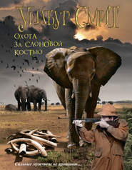 бесплатно читать книгу Охота за слоновой костью автора Уилбур Смит