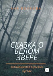 бесплатно читать книгу Сказка о белом звере, затаившемся в рыжих кустах автора Аня Волкова