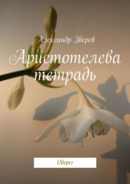 бесплатно читать книгу Аристотелева тетрадь. Оберег автора Александр Зверев