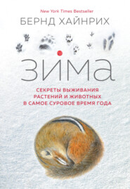 бесплатно читать книгу Зима: Секреты выживания растений и животных в самое суровое время года автора Берндт Хайнрих