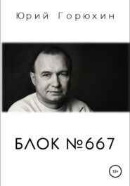 бесплатно читать книгу Блок №667 автора Юрий Горюхин