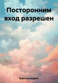 бесплатно читать книгу Посторонним вход разрешен автора Андрей Березин