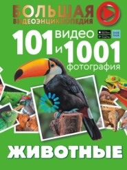 бесплатно читать книгу Животные. 101 видео и 1001 фотография автора Любовь Вайткене