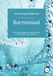бесплатно читать книгу Восточный автора Александр Борисов
