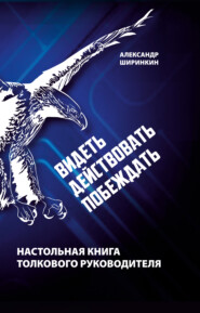 бесплатно читать книгу Видеть. Действовать. Побеждать. Настольная книга толкового руководителя автора Александр Ширинкин