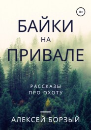 бесплатно читать книгу Байки на привале автора Алексей Борзый