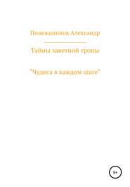 бесплатно читать книгу Тайны заветной тропы автора Александр Пинежанинов