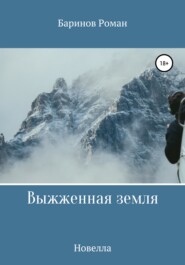 бесплатно читать книгу Выжженная земля автора Роман Баринов