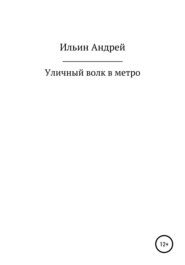 бесплатно читать книгу Уличный волк в метро автора Андрей Ильин