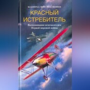 бесплатно читать книгу Красный истребитель. Воспоминания немецкого аса Первой мировой войны автора Манфред фон