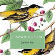 бесплатно читать книгу Джейн Эйр автора Шарлотта Бронте