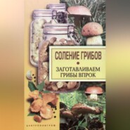 бесплатно читать книгу Соление грибов. Заготавливаем грибы впрок автора Надежда Парахина