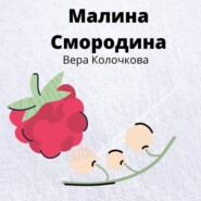 бесплатно читать книгу Малина Смородина автора Вера Колочкова