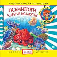 бесплатно читать книгу Осьминоги и другие моллюски автора DLIFL 