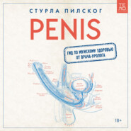 бесплатно читать книгу Penis. Гид по мужскому здоровью от врача-уролога автора Стурла Пилског