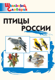 бесплатно читать книгу Птицы России. Начальная школа автора Литагент ТеревинфDRM