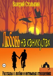 бесплатно читать книгу Любовь на каникулах автора Валерий Столыпин