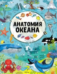 бесплатно читать книгу Анатомия океана автора Ирина Барановская