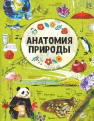 бесплатно читать книгу Анатомия природы автора Ксения Аниашвили