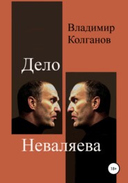 бесплатно читать книгу Дело Неваляева автора Владимир Колганов