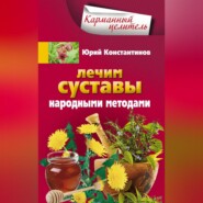 бесплатно читать книгу Лечим суставы народными методами автора Юрий Константинов