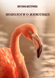 бесплатно читать книгу Монологи о животных автора Светлана Шестернева
