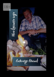 бесплатно читать книгу Мои времена года автора Александр Акимов