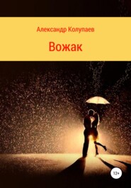 бесплатно читать книгу Вожак автора Александр Колупаев