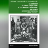 бесплатно читать книгу Зеленое движение в Гражданской войне в России. Крестьянский фронт между красными и белыми. 1918—1922 гг. автора Антон Посадский