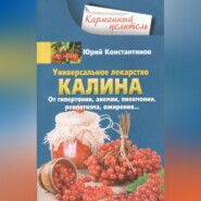 бесплатно читать книгу Универсальное лекарство калина. От гипертонии, анемии, пневмонии, ревматизма, ожирения… автора Юрий Константинов