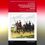 бесплатно читать книгу Донское казачество позднеимперской эпохи. Земля. Служба. Власть. 2-я половина XIX в. – начало XX в. автора Алексей Волвенко