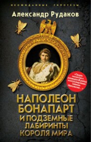 бесплатно читать книгу Наполеон Бонапарт и подземные лабиринты Короля мира автора Ольга Грейгъ