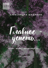 бесплатно читать книгу Главное – успеть… автора Александра Шадрина