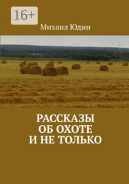 бесплатно читать книгу Рассказы об охоте и не только автора Михаил Юдин